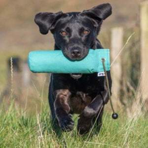 1lb Canvas Dummy with Long Throw - Image 2