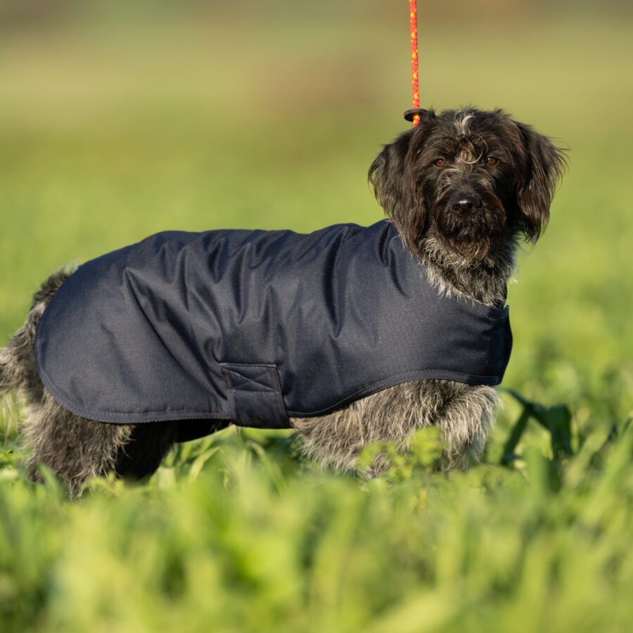 Field Trial Dog Coat - Waterproof & Warm