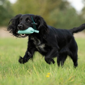 Snipe Dummy - Image 2