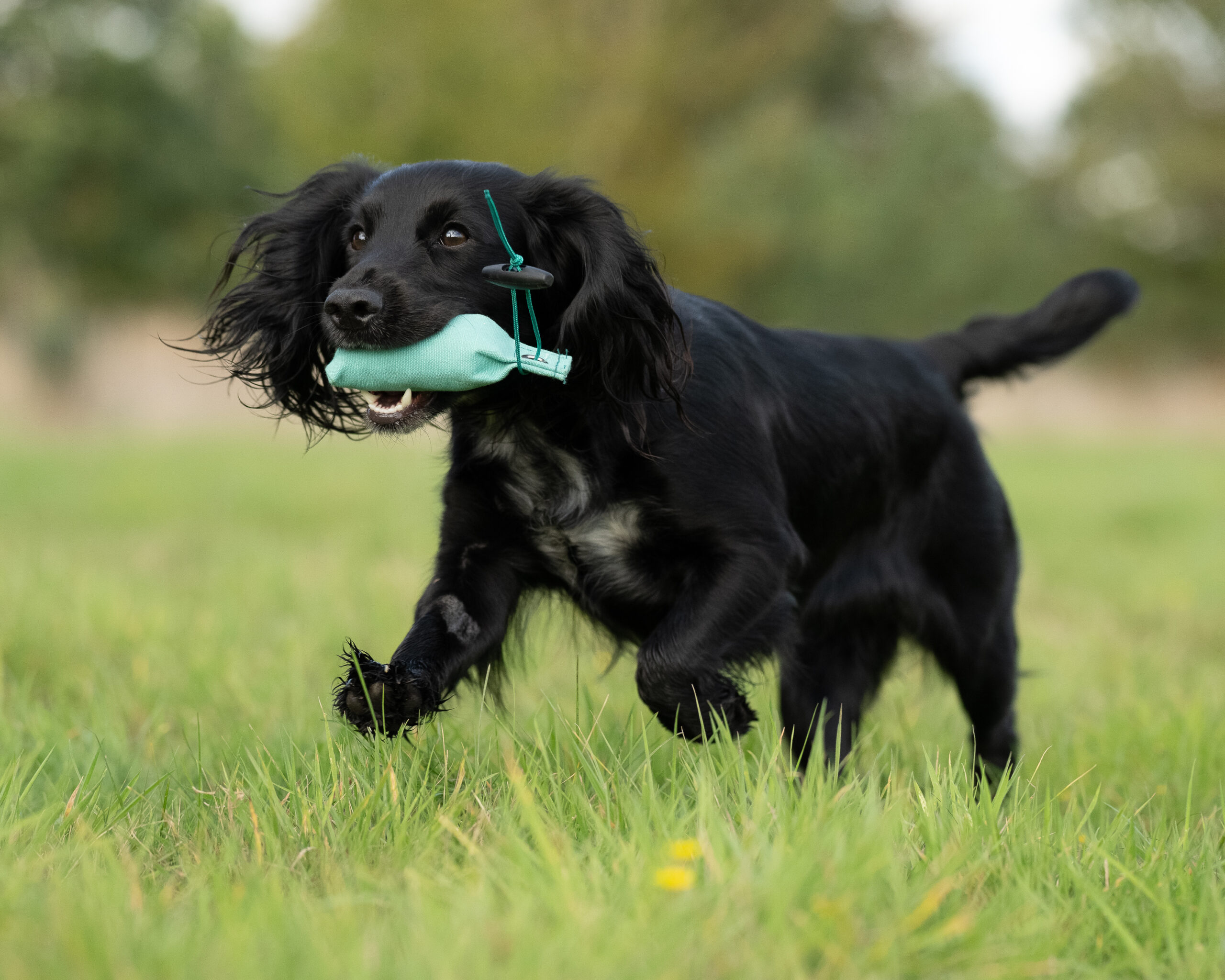 Snipe Dummy - Image 2