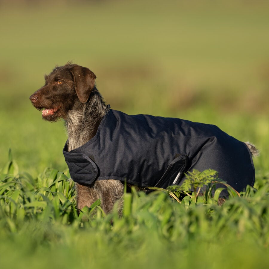 Field Trial Dog Coat - Waterproof & Warm