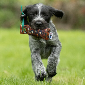 Snipe Dummy - Image 3