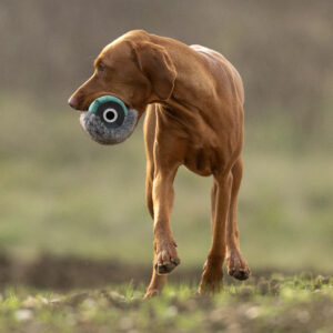 Rabbit Launcher Dummy - Image 3