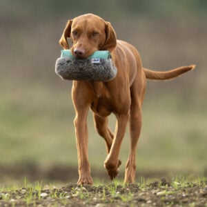 Rabbit Launcher Dummy - Image 2