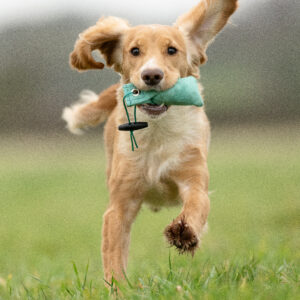 Snipe Dummy - Image 4