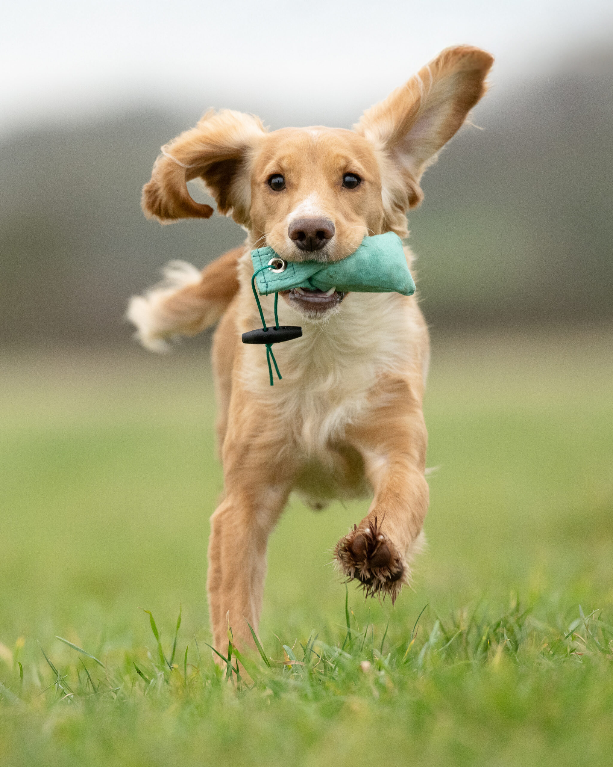 Snipe Dummy - Image 4