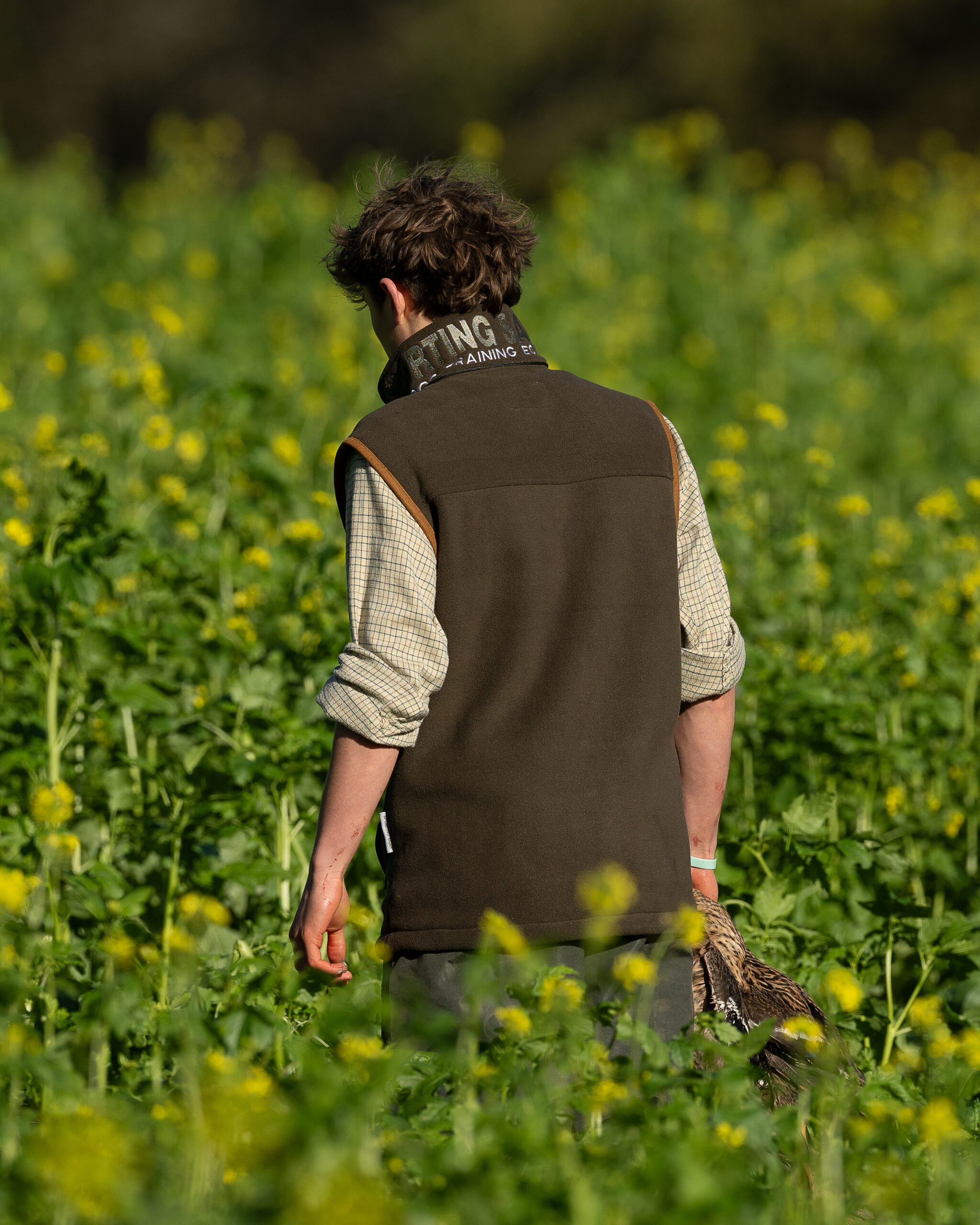 Sporting Saint Gilet - Gents - Image 3