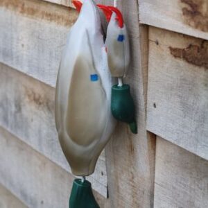 Dokken Puppy - Image 4