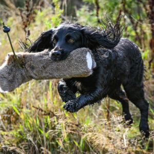 Rabbit Dummy - Various Sizes - Image 2