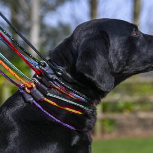 Field Trial PRO Slip Lead - Image 2