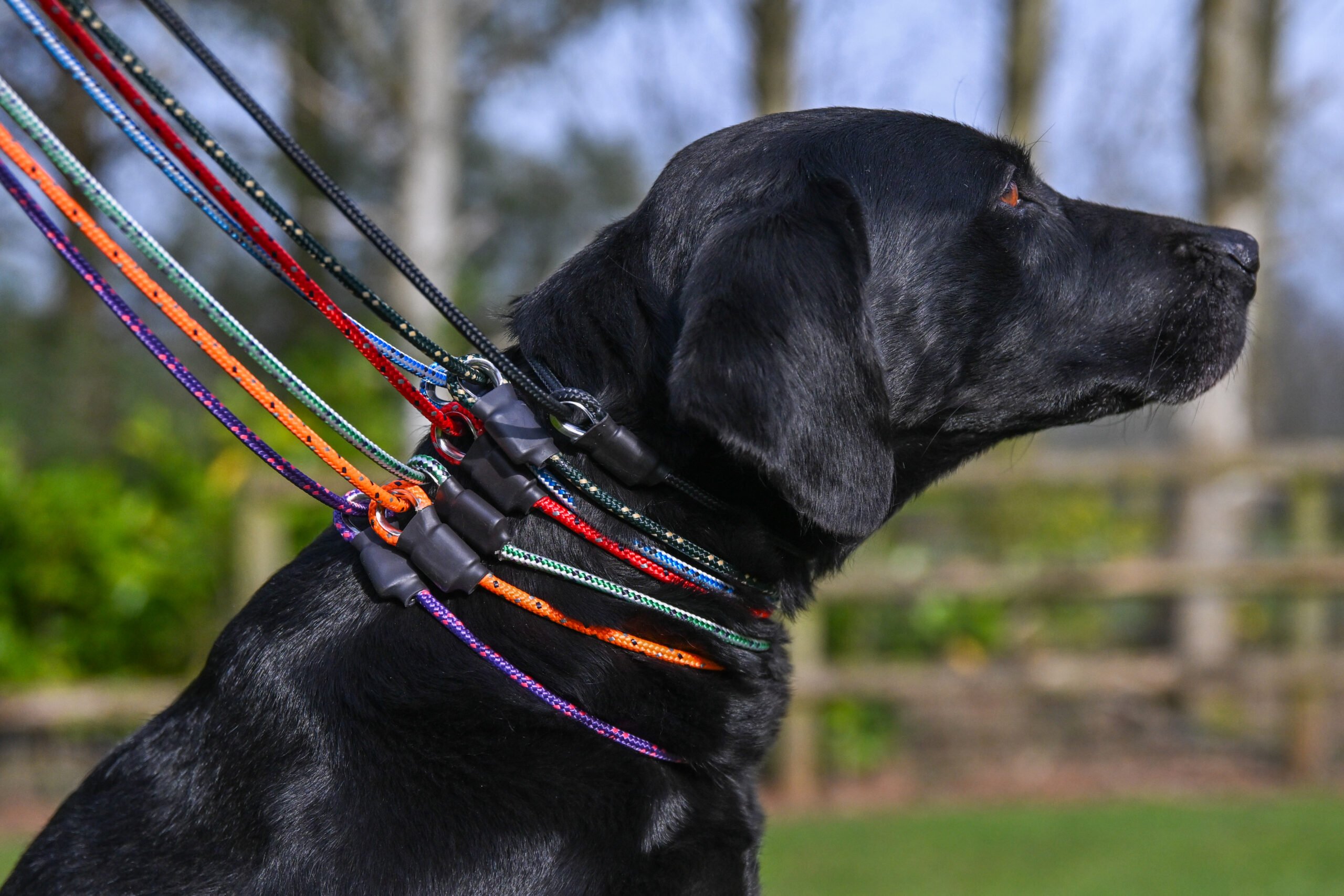 Field Trial PRO Slip Lead - Image 2