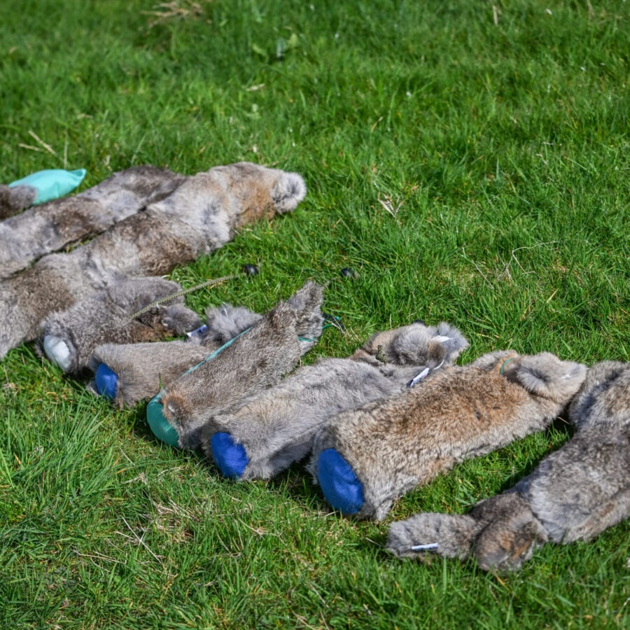Rabbit Dummy - Various Sizes