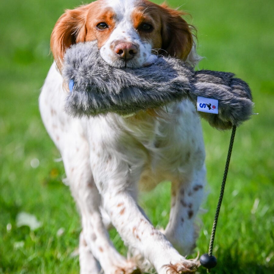 Rabbit Dummy - Various Sizes