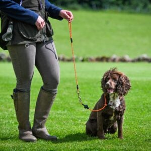 Field Trial Pro All In One - Image 2