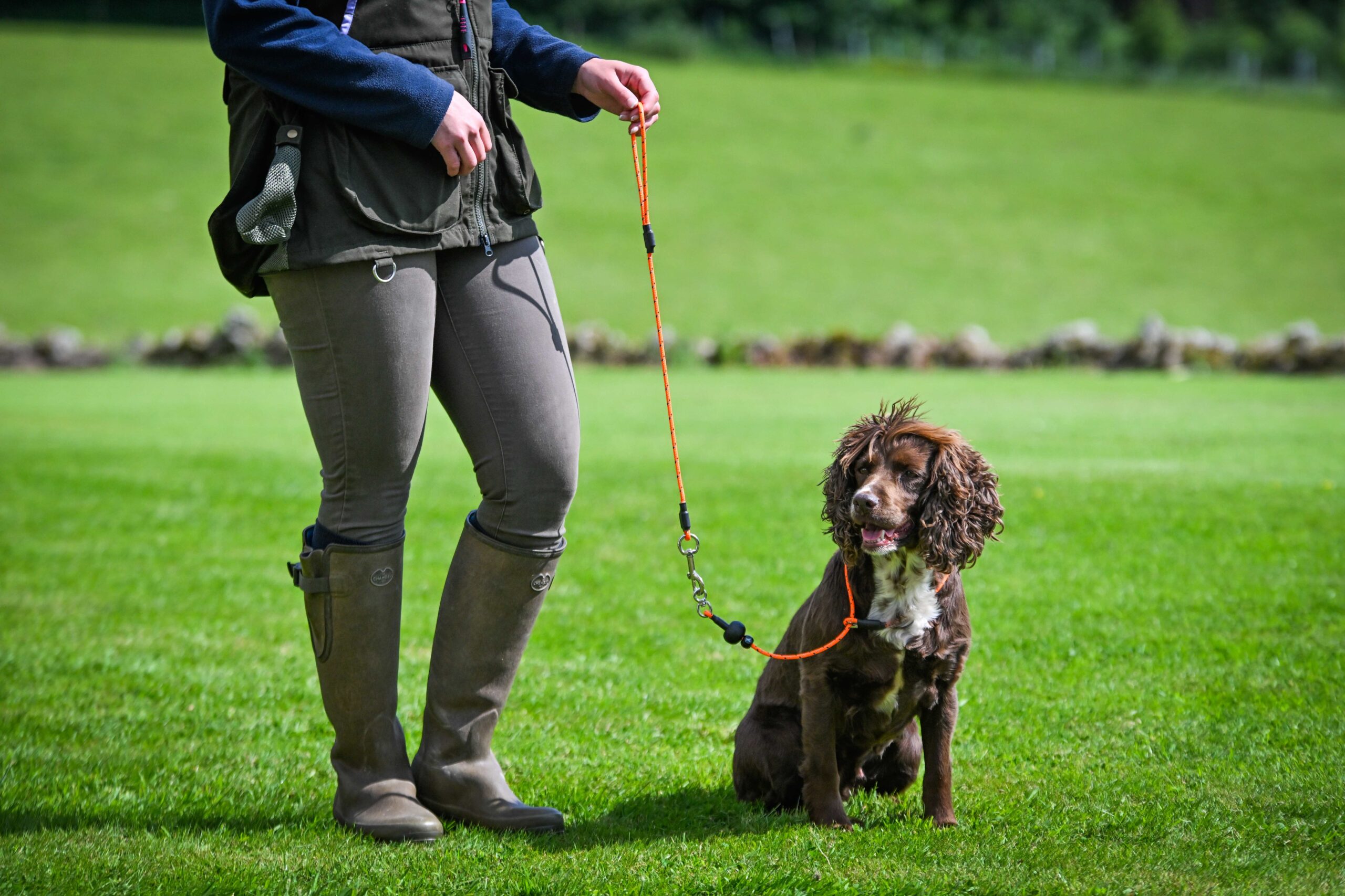 Field Trial Pro All In One - Image 2