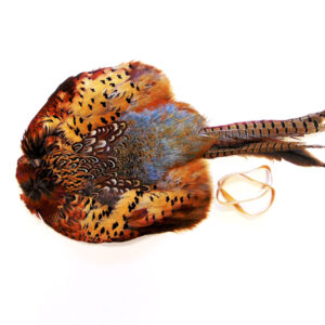 Bulk Cock Pheasant Pelts - Image 4