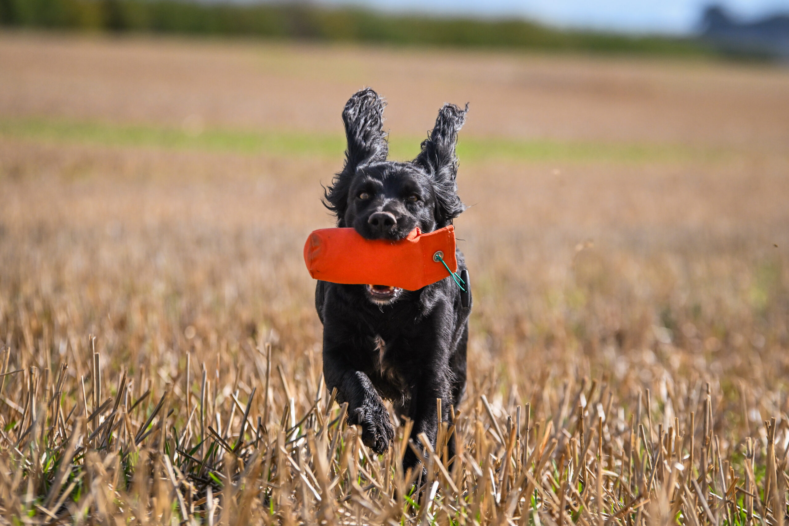 1/2lb Canvas Dummy - Image 4