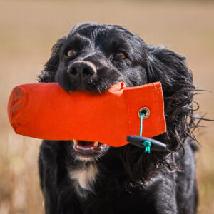 1/2lb Canvas Dummy - Image 2