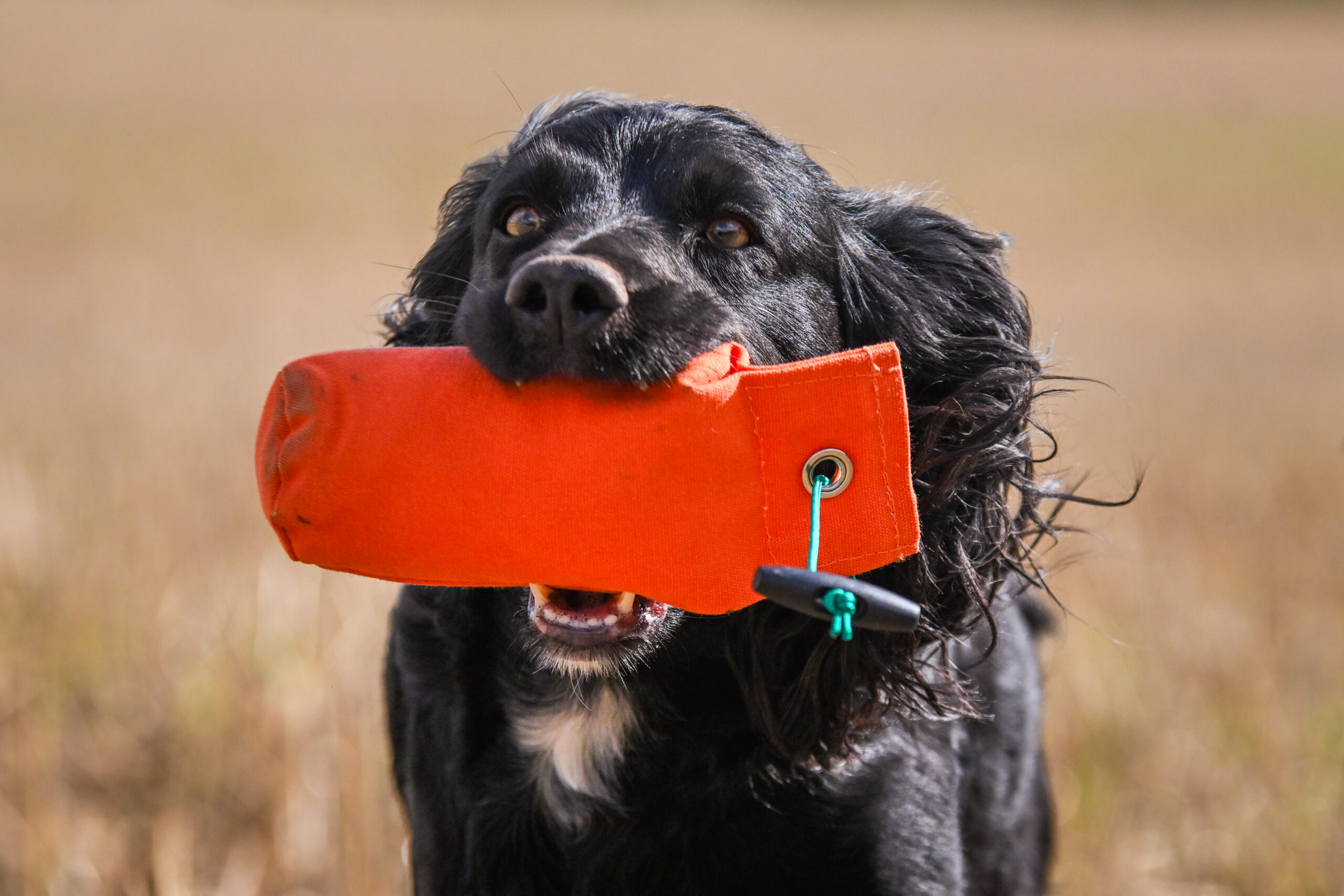 1/2lb Canvas Dummy - Image 2