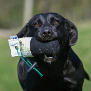 1/2lb Canvas Dummy - Image 5