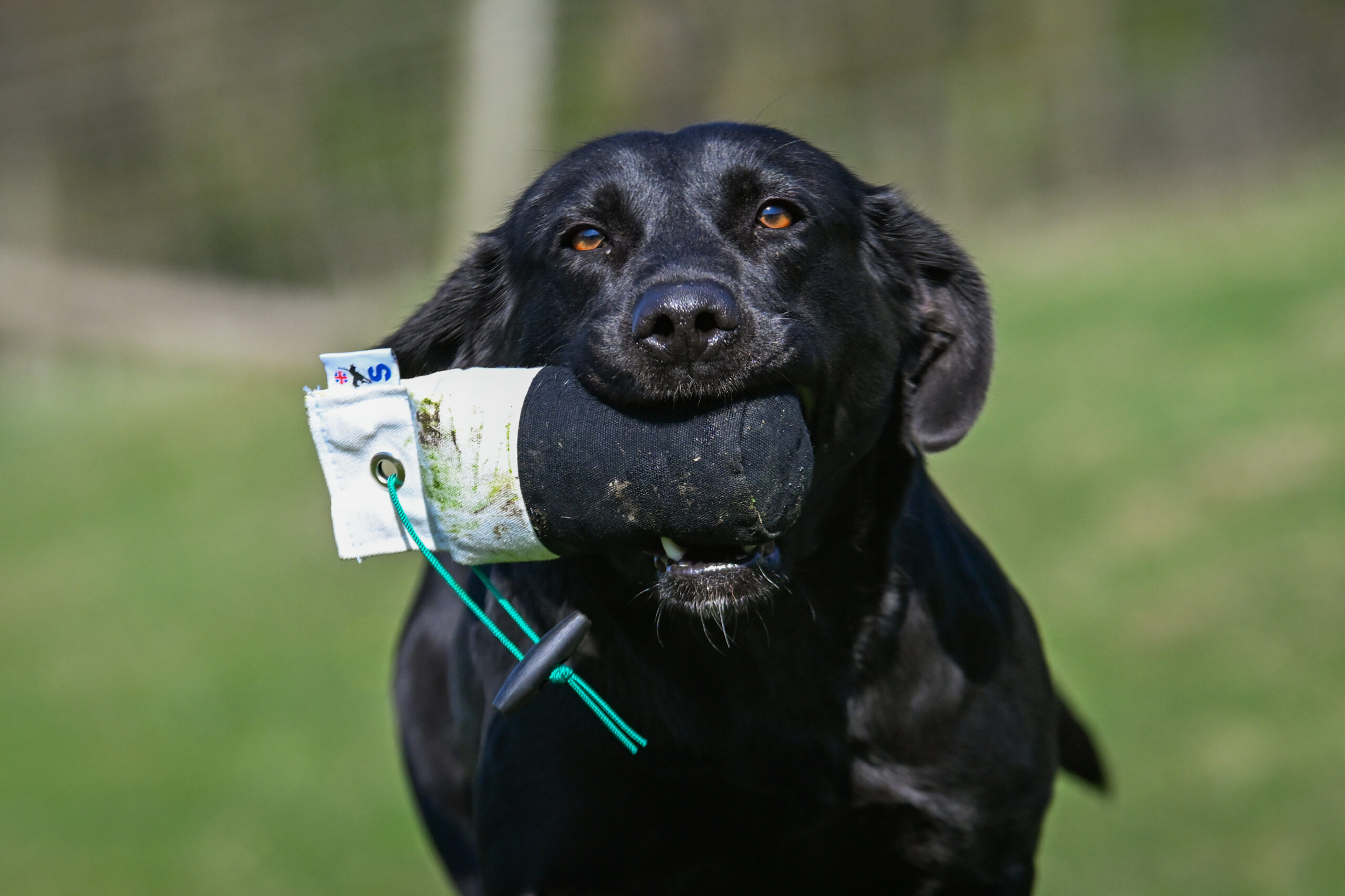 1/2lb Canvas Dummy - Image 5