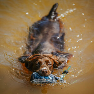 1/2lb Canvas Dummy - Image 3