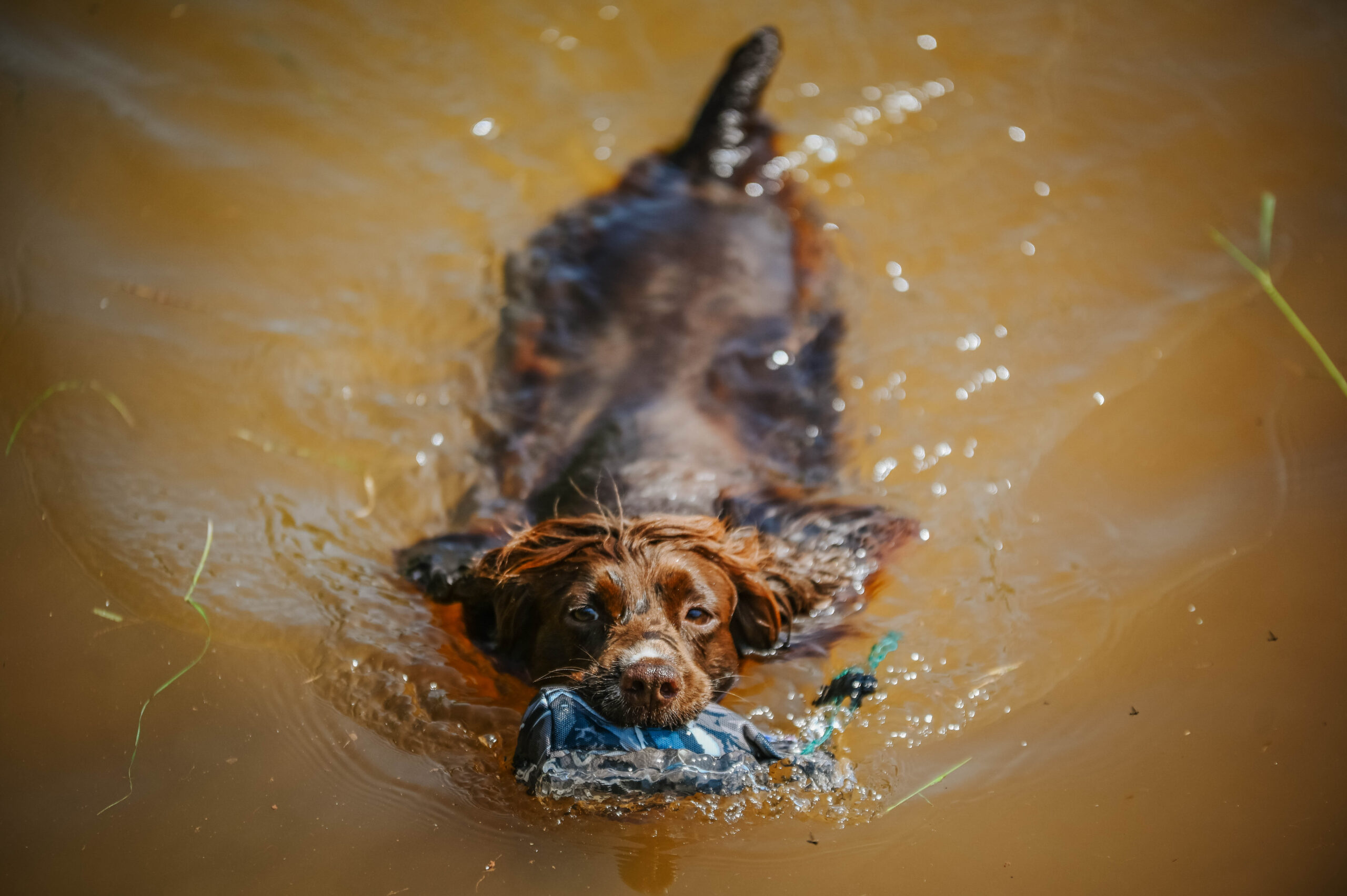 1/2lb Canvas Dummy - Image 3