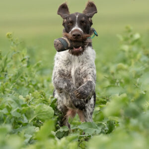 1/2lb Canvas Dummy - Image 6