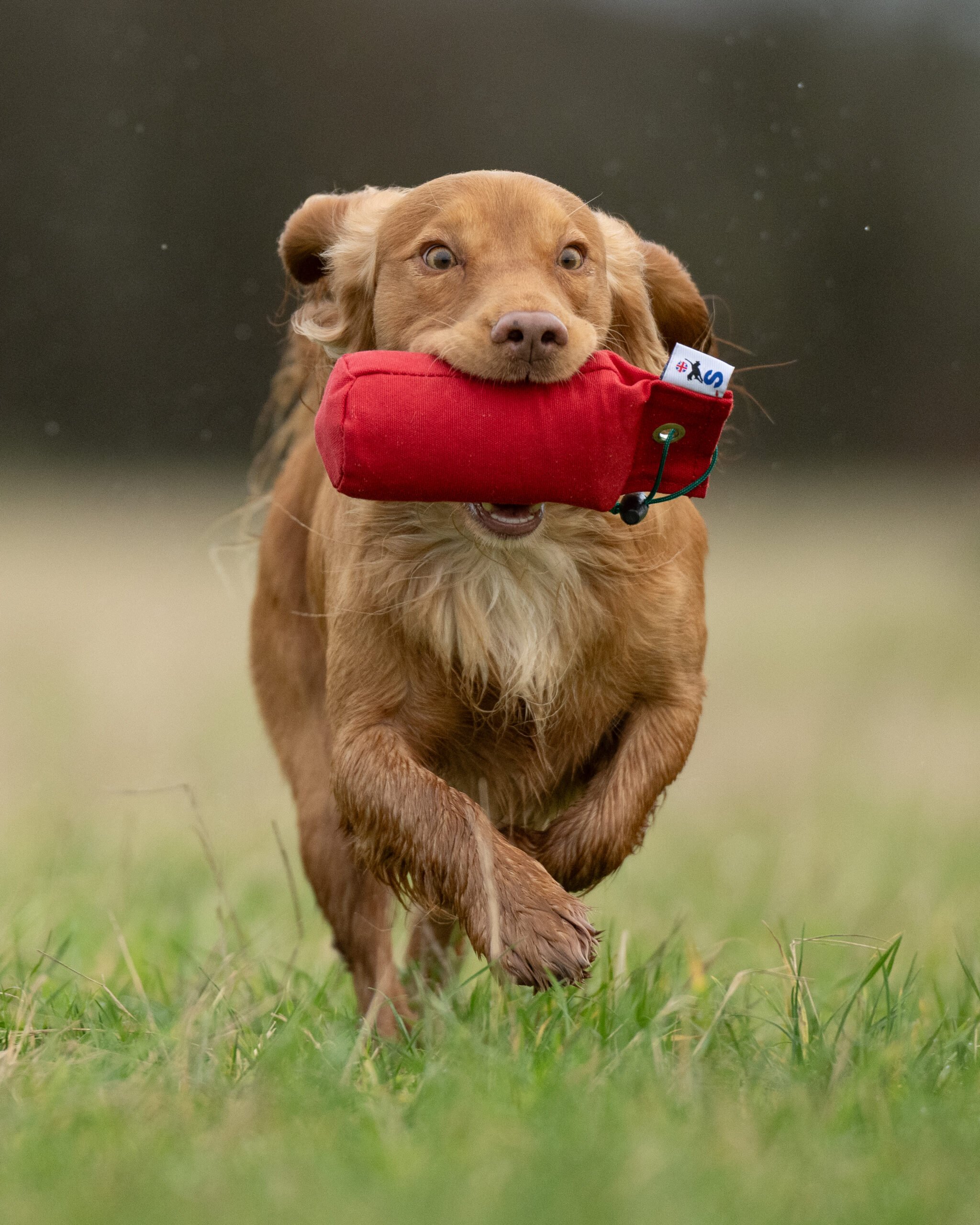 1/2lb Canvas Dummy - Image 2