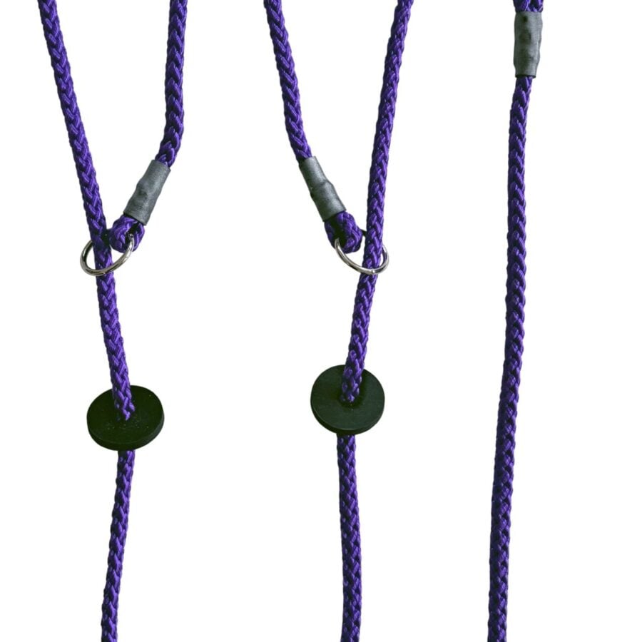 Brace Set - Slip Lead (2 Dogs)
