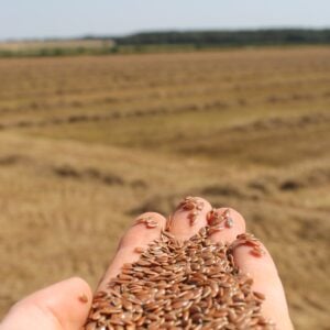 PureFlax Working Dog Supplement - Image 4