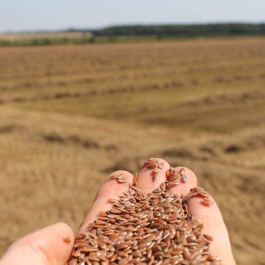 PureFlax Working Dog Supplement