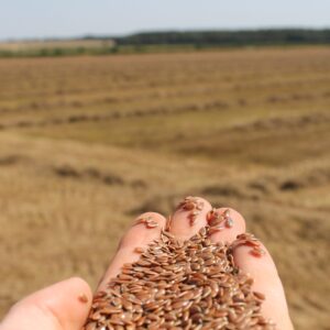 PureFlax Working Dog Supplement - Image 4