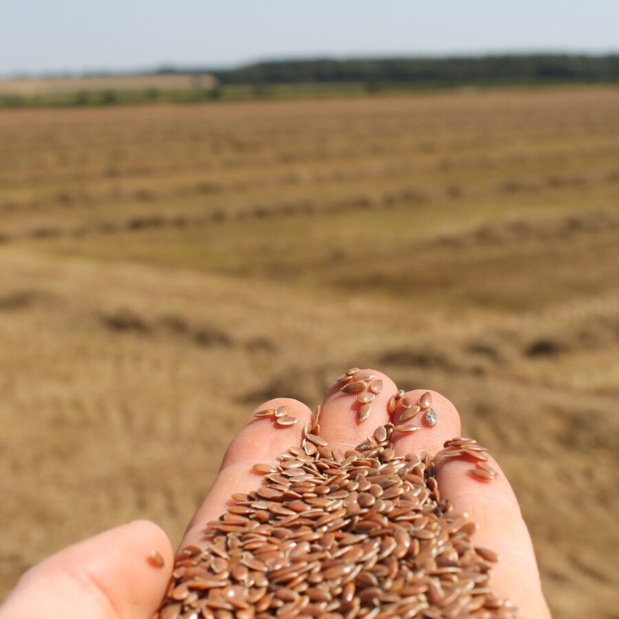 PureFlax Working Dog Supplement