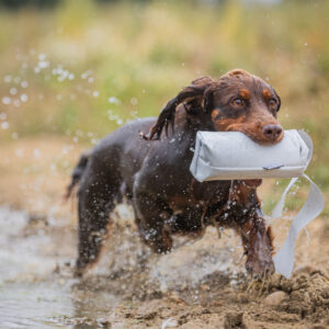 Druidsmere PVC Streamer - Launcher Dummy - Image 2