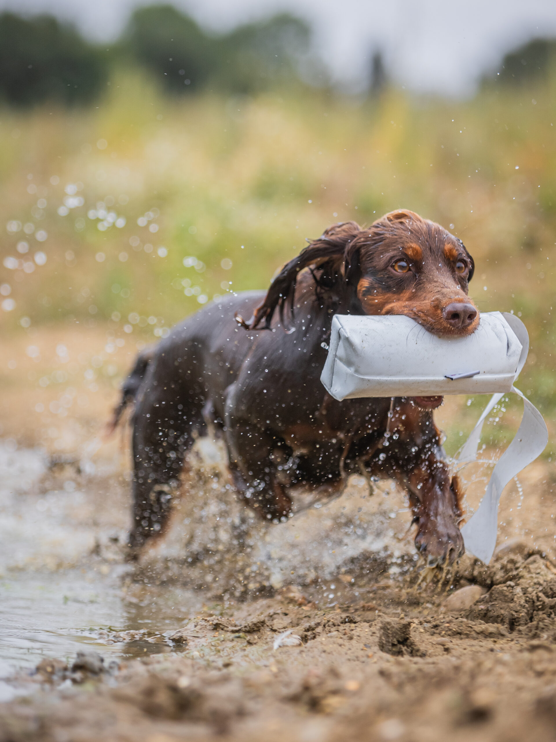 Druidsmere PVC Streamer - Launcher Dummy - Image 2