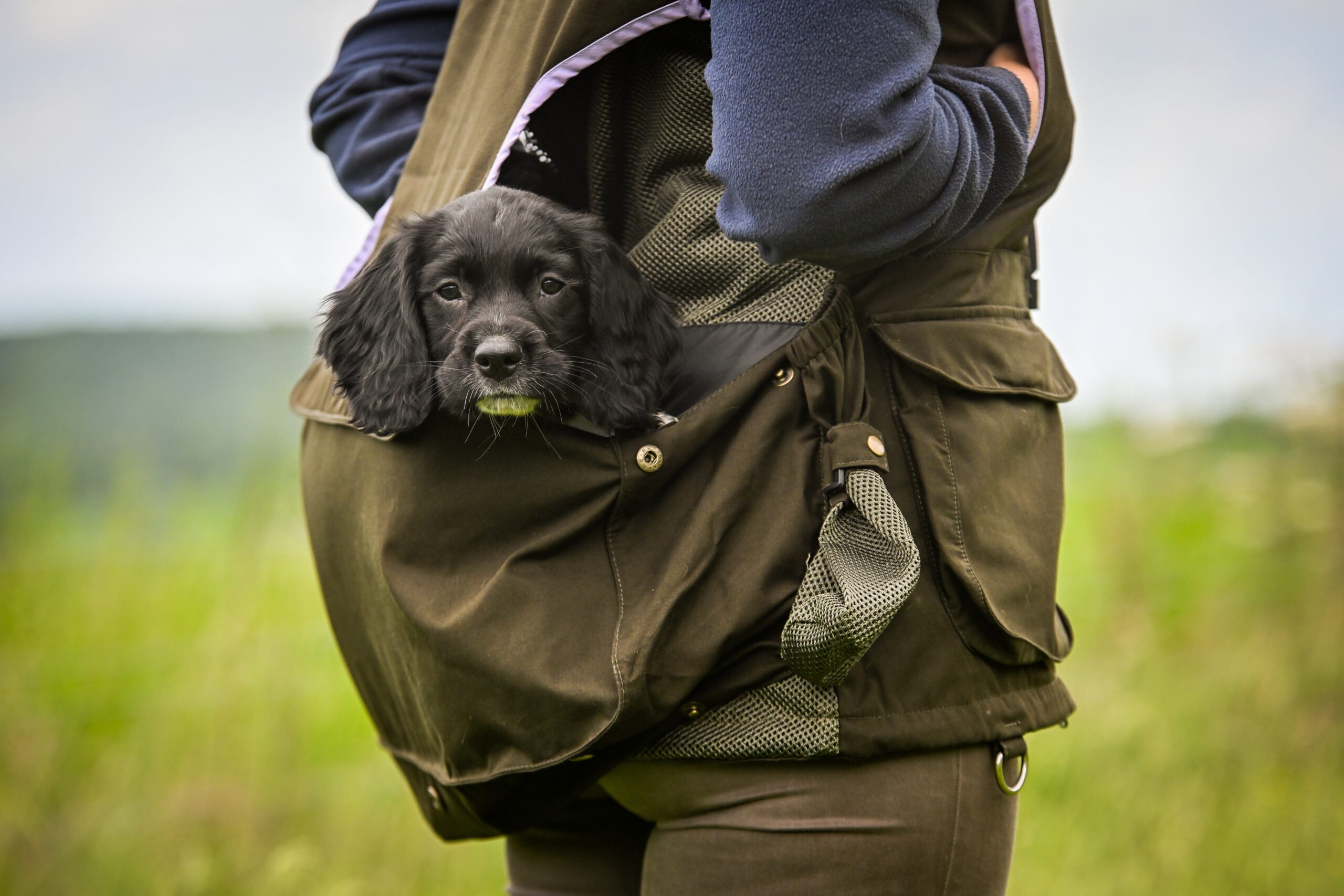Winslow Training Vest - Ladies - Image 4