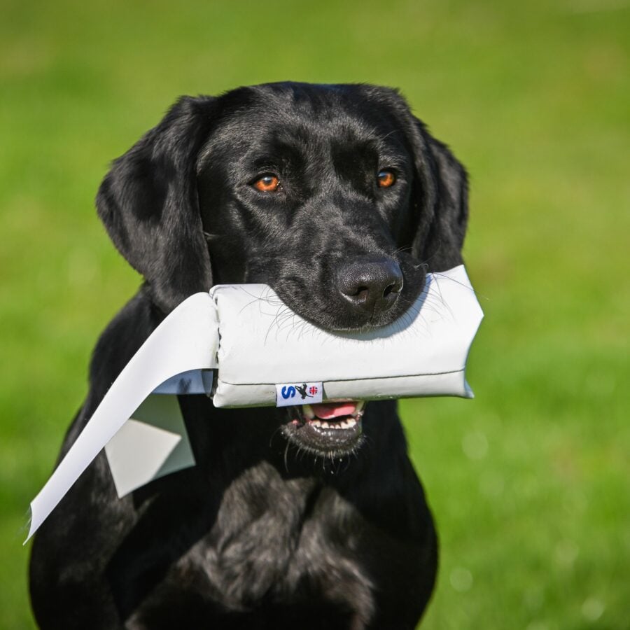 Druidsmere PVC Streamer - Launcher Dummy