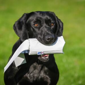 Druidsmere PVC Streamer - Launcher Dummy - Image 4