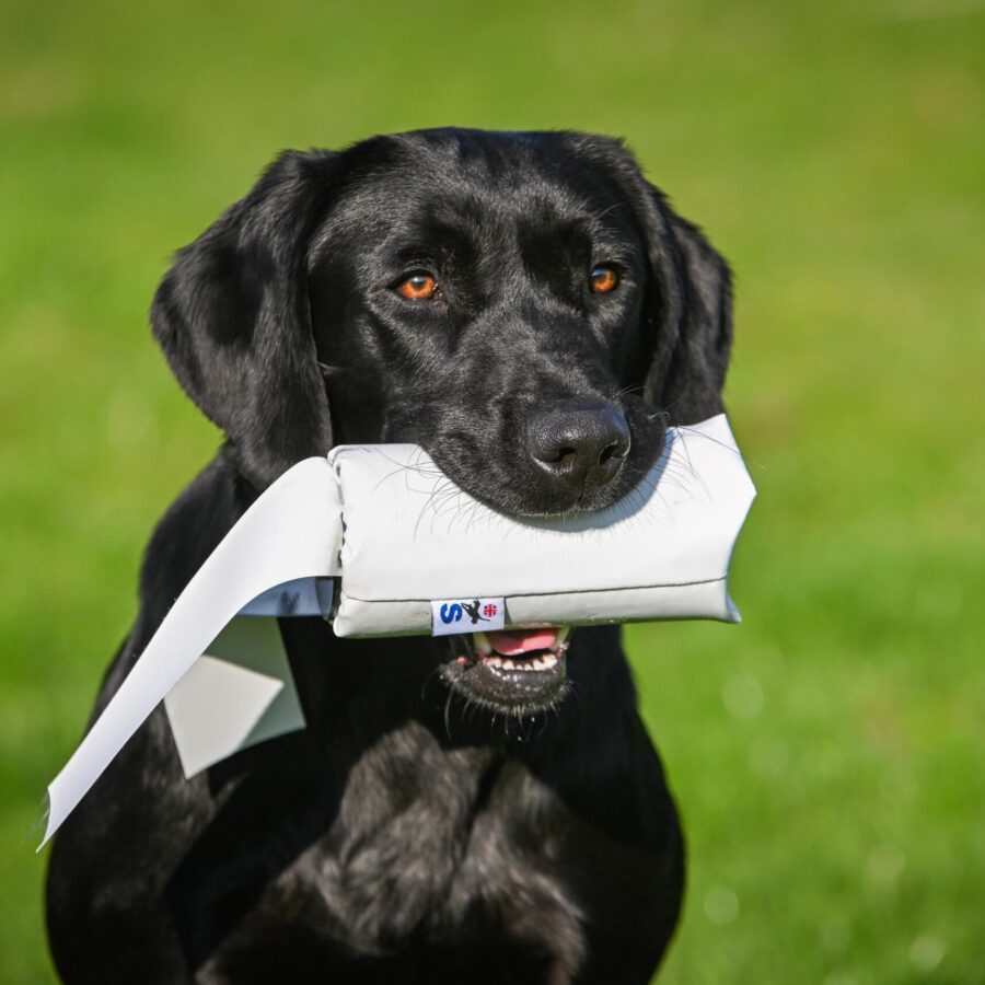 Druidsmere PVC Streamer - Launcher Dummy