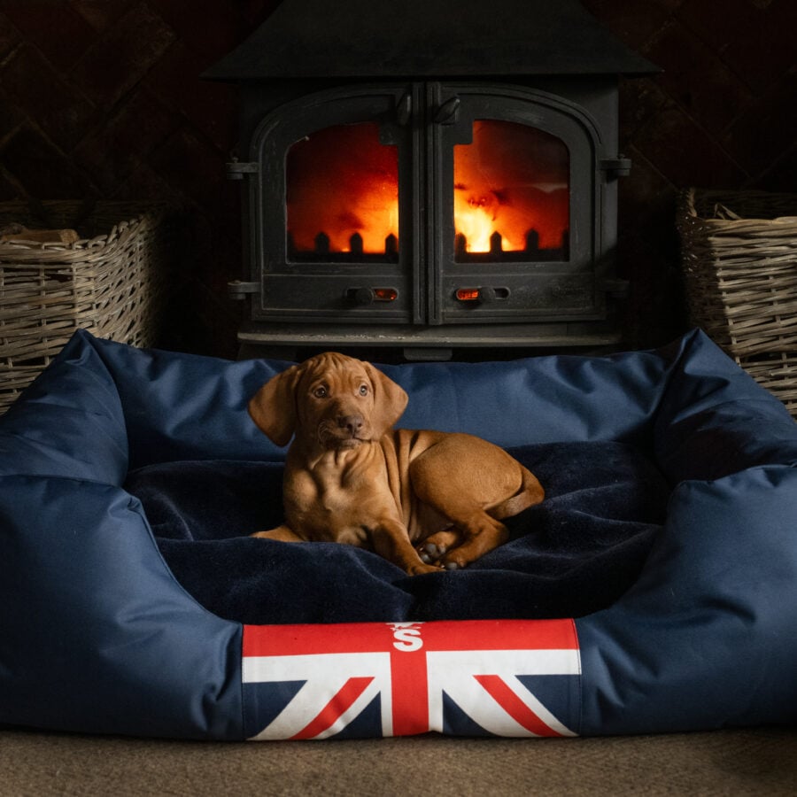 The Snug Dog Bed
