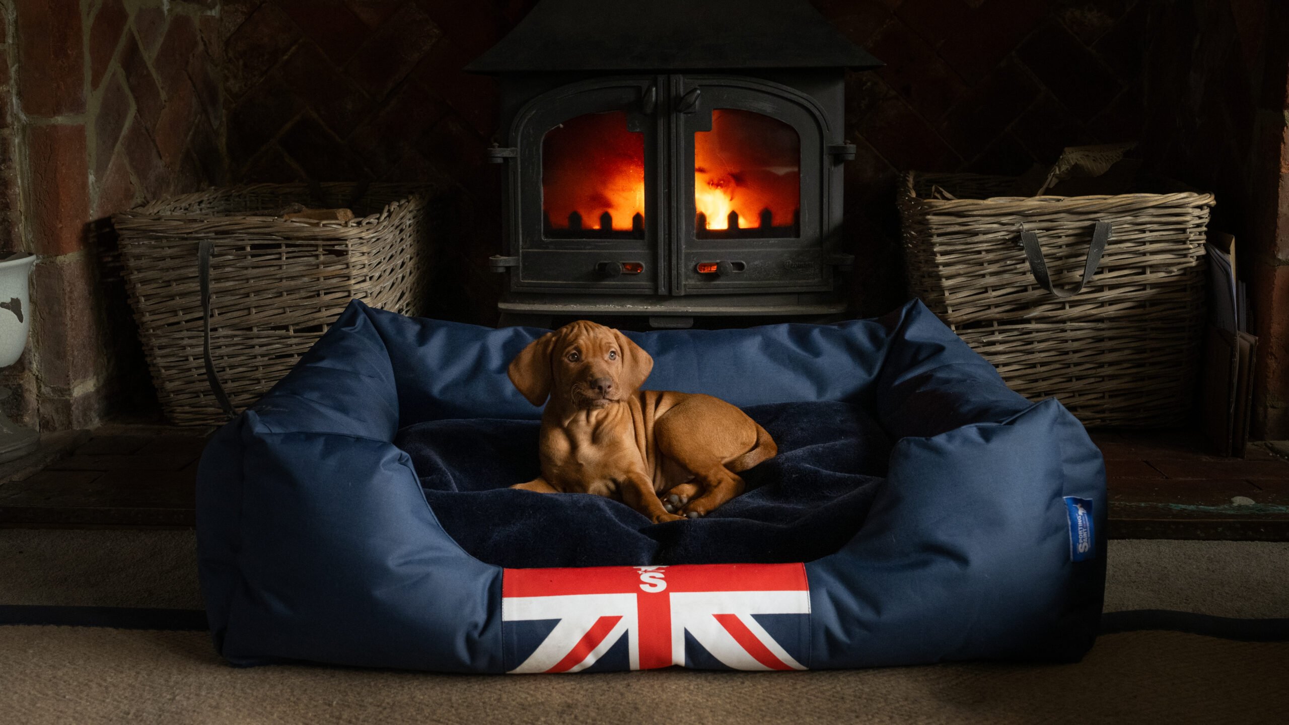 The Snug Dog Bed - Image 2