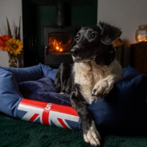 The Snug Dog Bed - Image 4