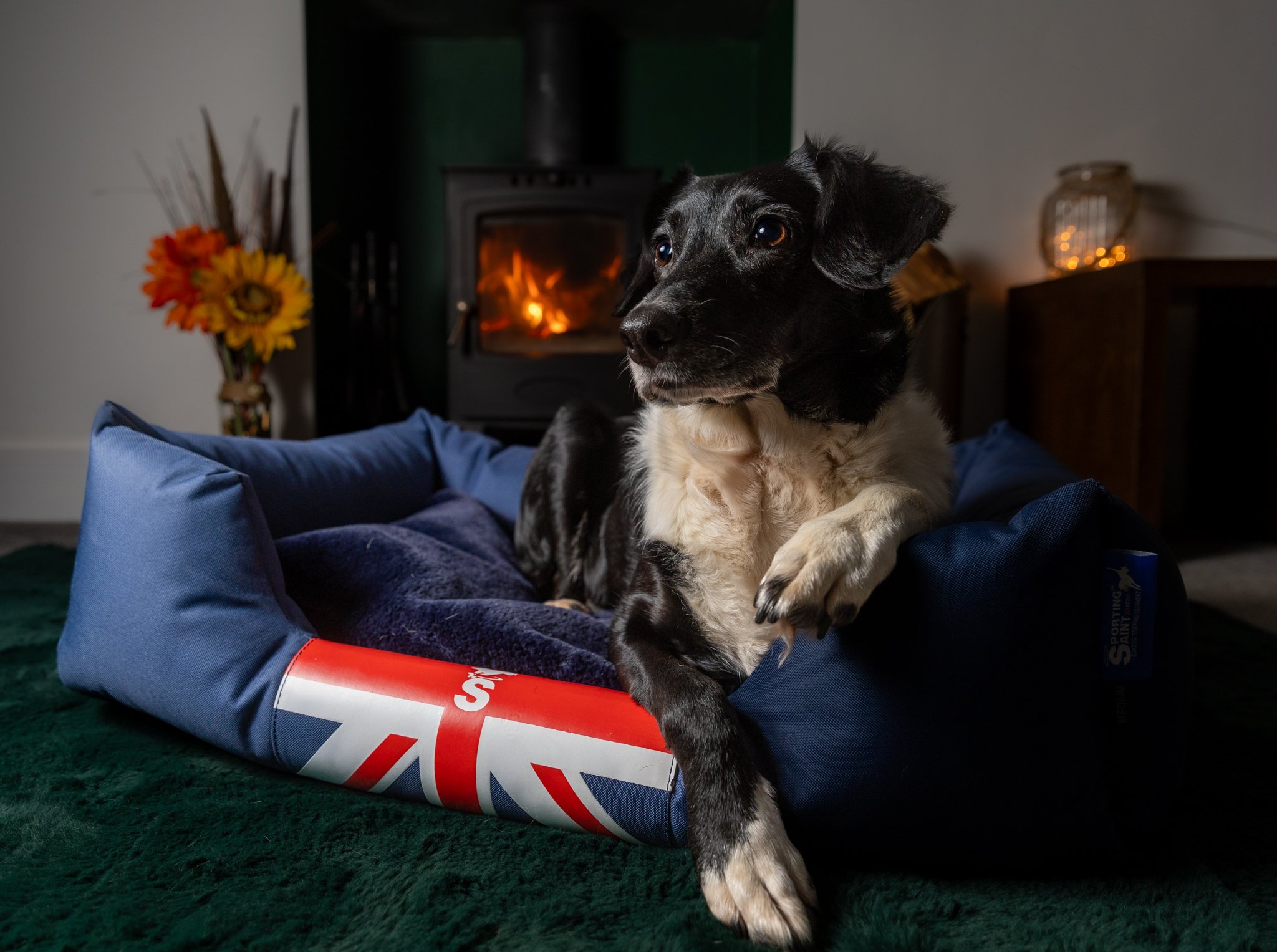 The Snug Dog Bed - Image 4