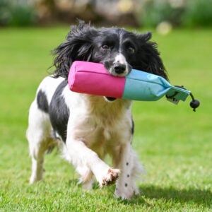 NEW! Pink & Baby Blue Canvas Range - Image 3