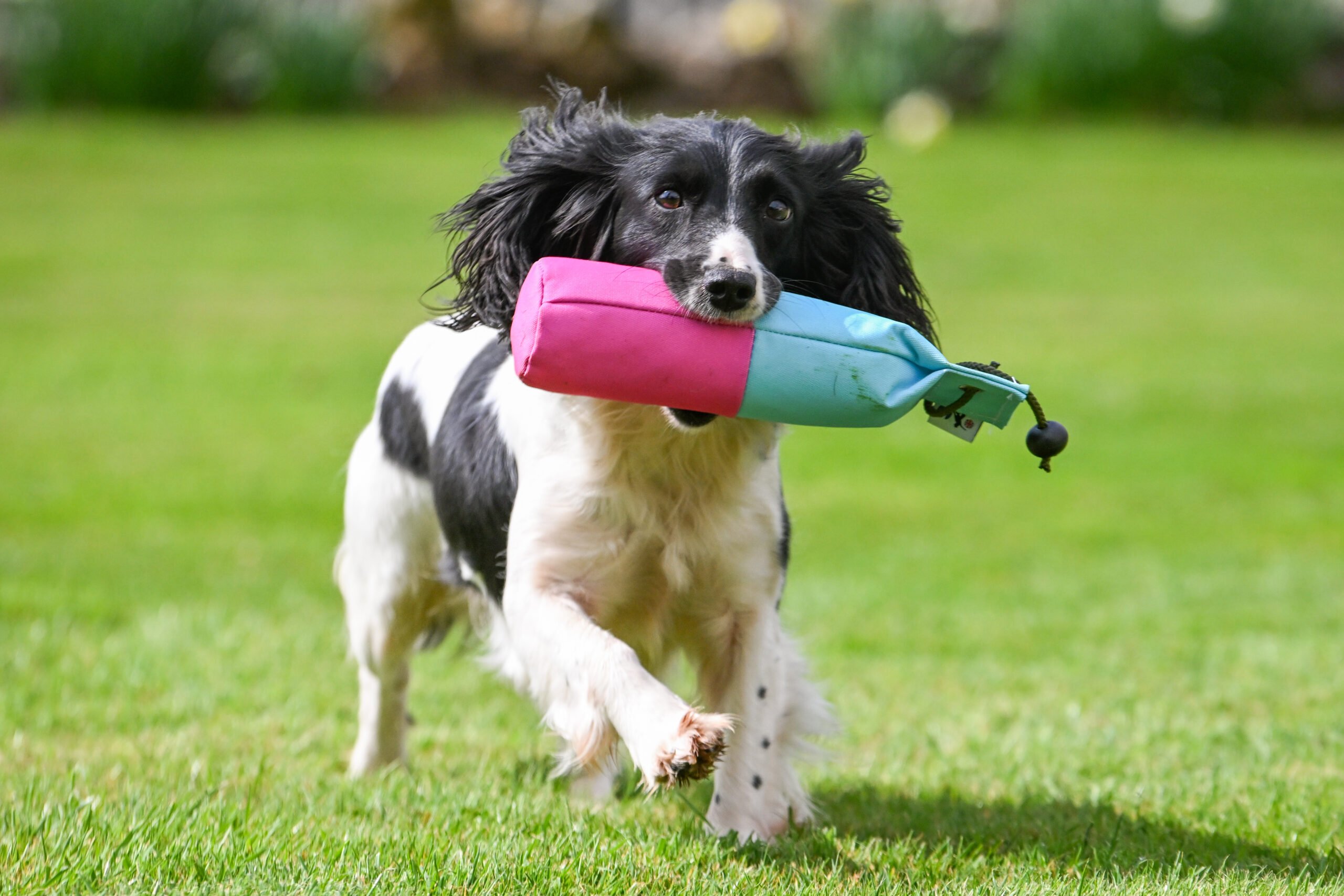 NEW! Pink & Baby Blue Canvas Range - Image 3