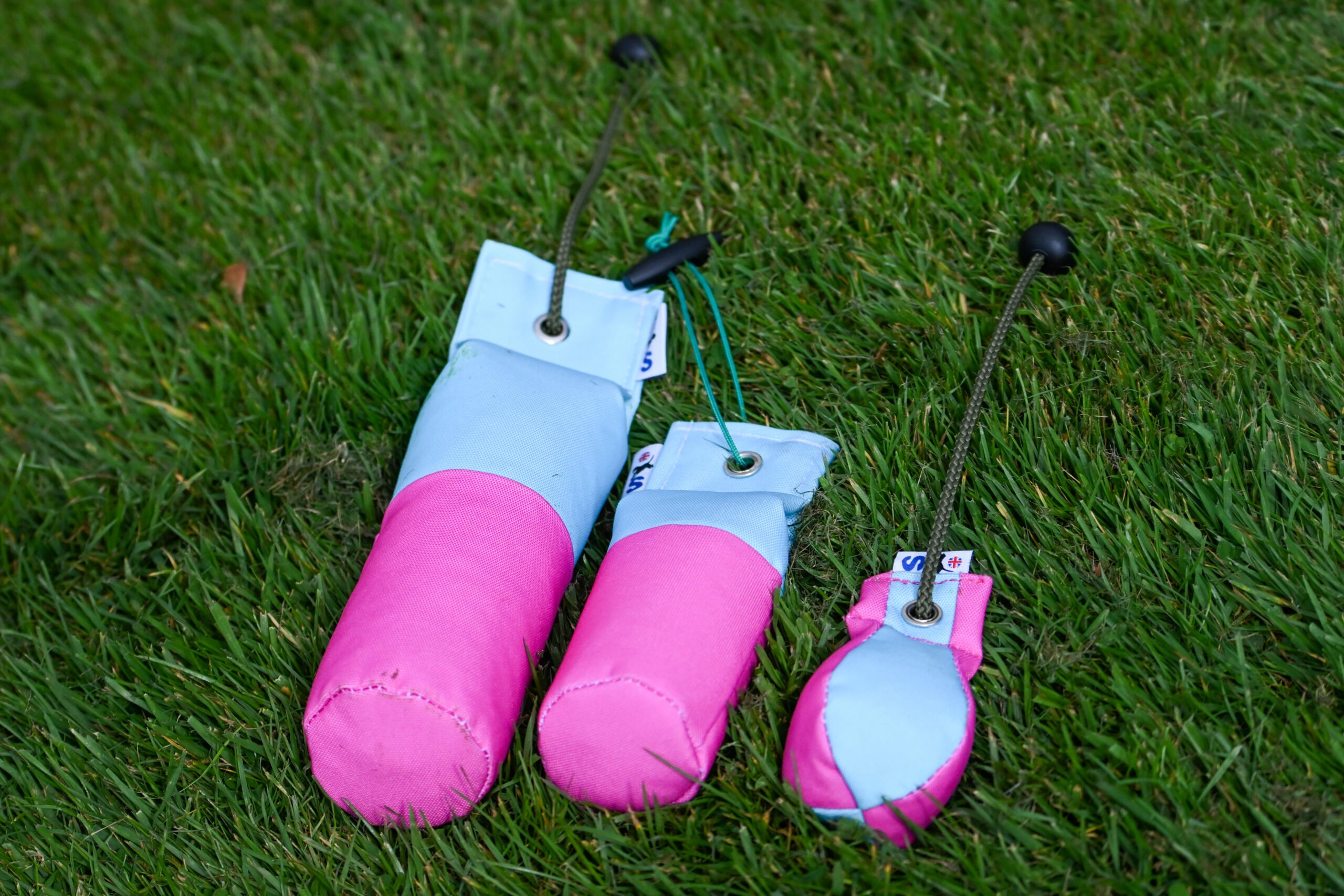 NEW! Pink & Baby Blue Canvas Range - Image 2