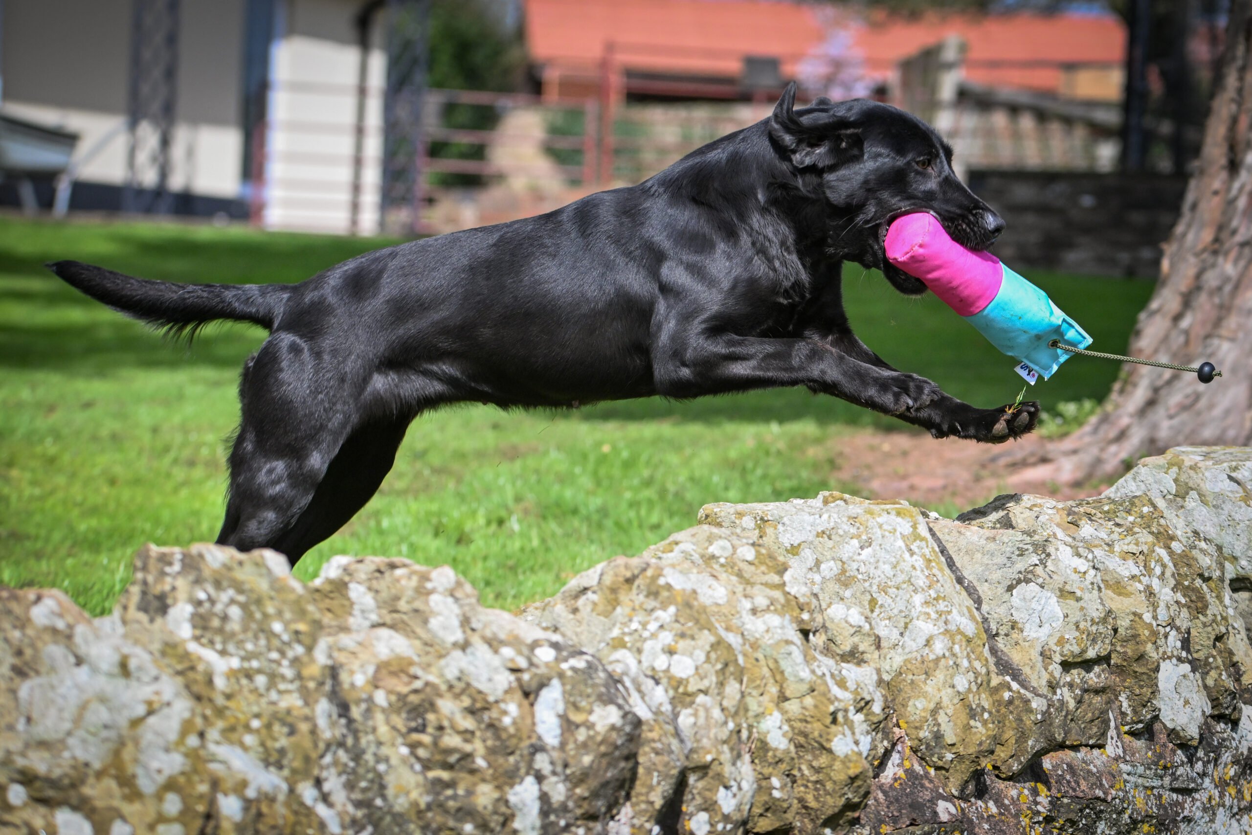 NEW! Pink & Baby Blue Canvas Range - Image 4