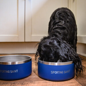 Sporting Saint Dog Bowl - Image 3