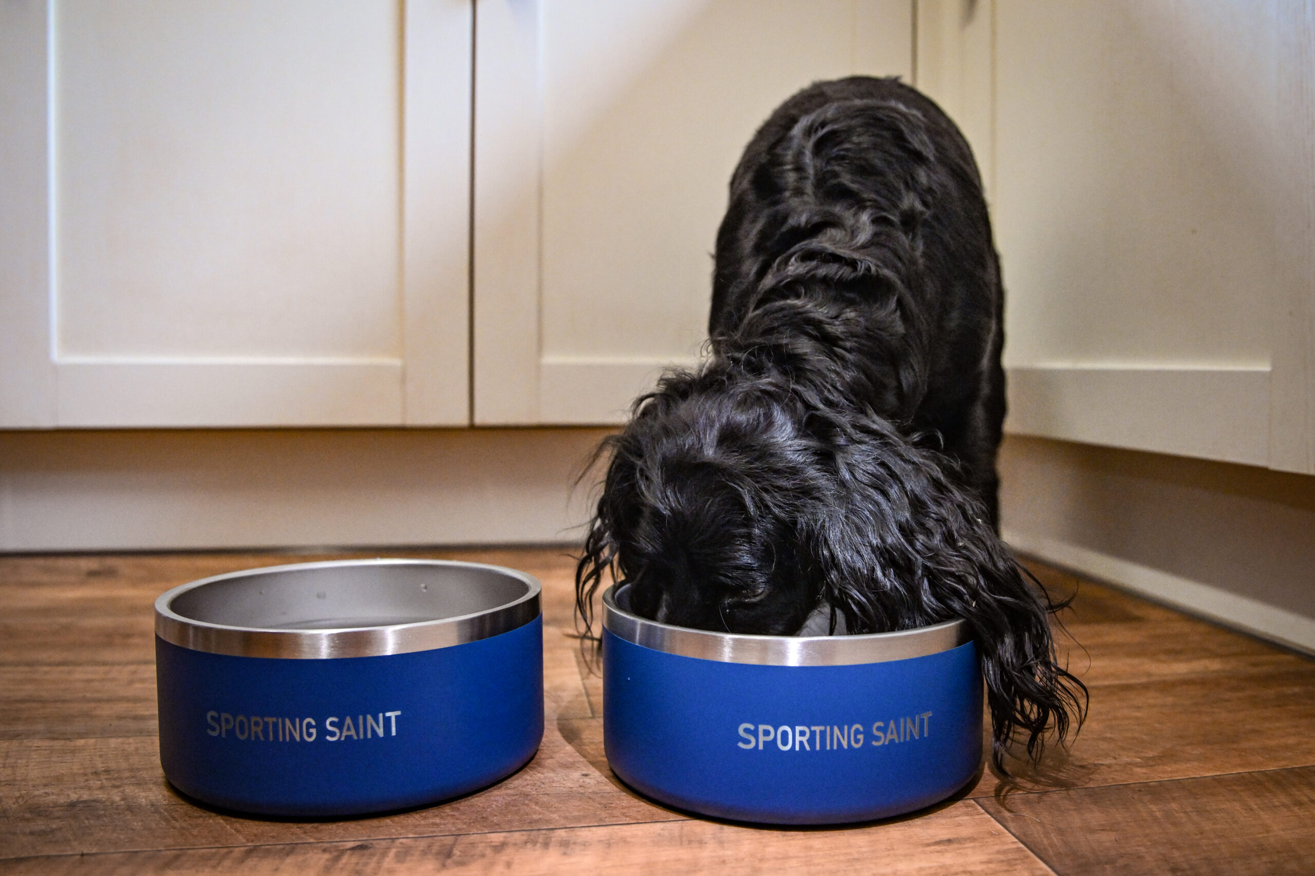 Sporting Saint Dog Bowl - Image 3